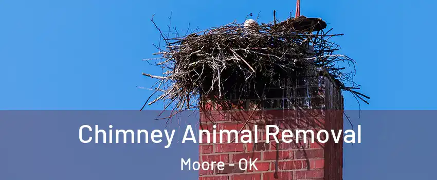 Chimney Animal Removal Moore - OK