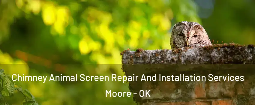  Chimney Animal Screen Repair And Installation Services Moore - OK