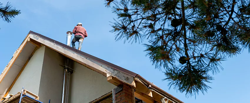 Birds Removal Contractors from Chimney in Moore, OK